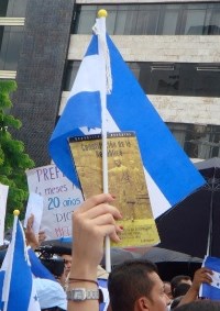 Protestor holding the Constitution of Honduras. Photo credit: giggey / Foter.com / CC BY-NC