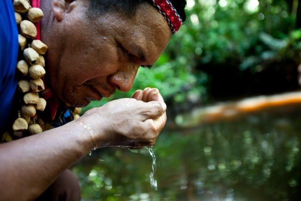 Photo by Caroline Bennett / Rainforest Action Network / Flickr / CC BY-NC 2.0