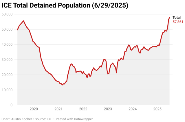 Legal Challenges and Judicial Oversight - visual representation